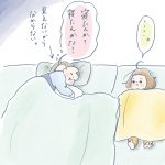 侵入者